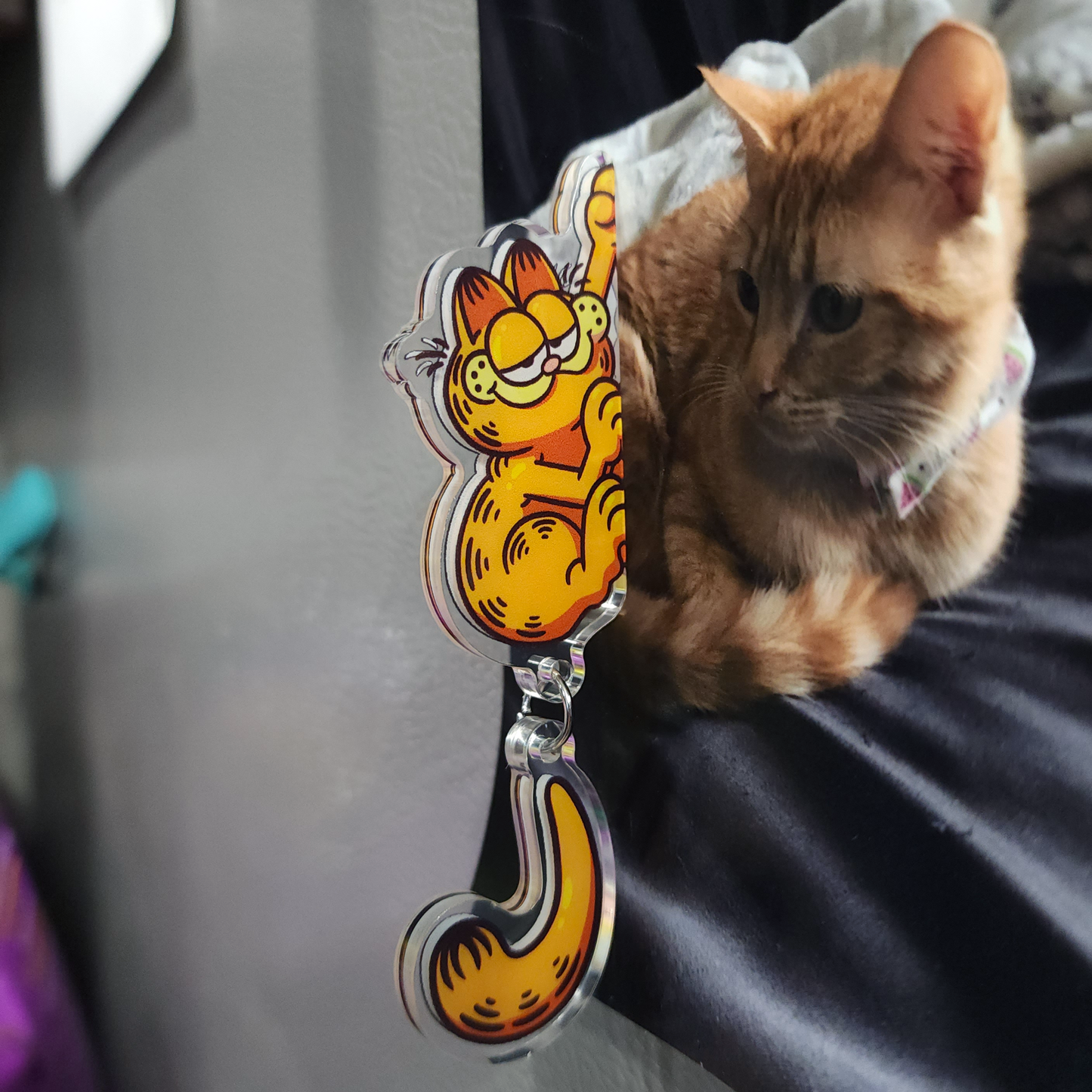 Climbing Garf ✦ Side Magnet!